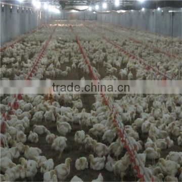 automatic poultry equipment for 40'x450' broiler houses