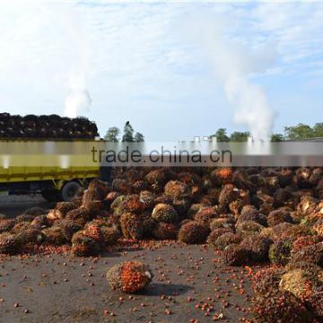 High production zhengzhou Qi'e palm oil procssing equipment with CE