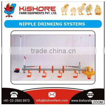 Automatic Poultry Nipple Drinking System