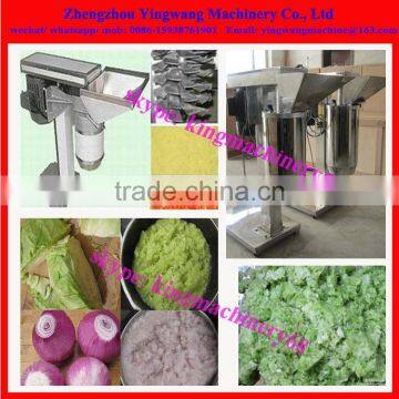 Vegetable Garlic/ Ginger/ Pepper/ Onion Mash Making Machine