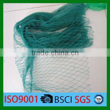 100% virgin HDPE + UV treated agriculture anti bird net