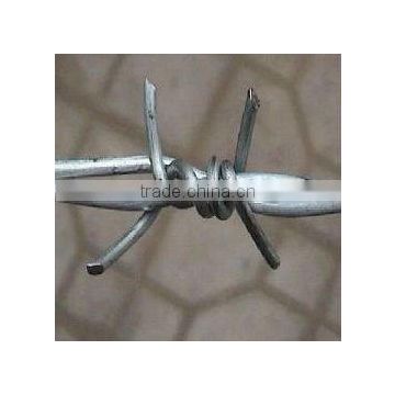 Electro galavnized and hot-dipped galvanized barbed wire supplier