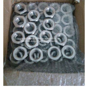 ASTM A479 UNS S31803 Heavy Hex nuts