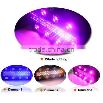 High Quality LED Grow Lights for Commercial Greenhouse photo-5