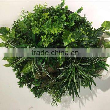 Factory Price Wall Hanging Plants photo-2