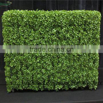 SAS016014 Artificial Hedge Panel UV Protect PE Boxwood Mat