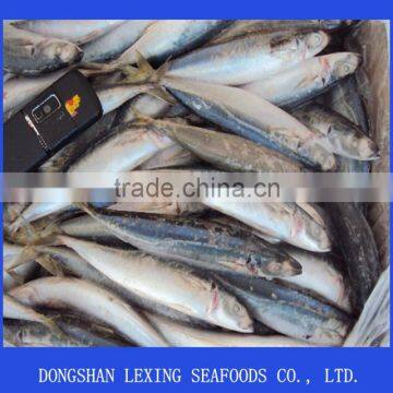 ROUND SCAD