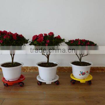 Moving Plastic Plant Dolly With Wheels photo-3