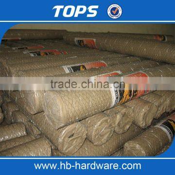 Galvanized Chicken Mesh photo-6