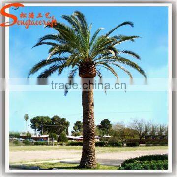 Top Selling Popular Outdoor Artificial Palm Tree For Sale