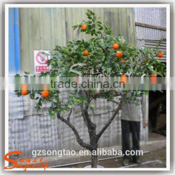 Realistic Mini Apple Plants Fresh Apple Fruits for Sale photo-2