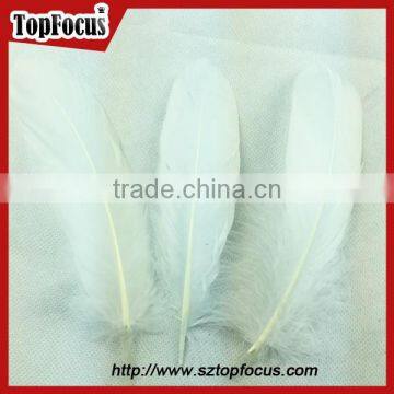 Wholesale Artificial Party Decoration Goose Wing Goose Feathers for Sale photo-4
