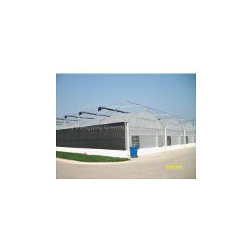 Decked Plastic Film Multi-span Greenhouse