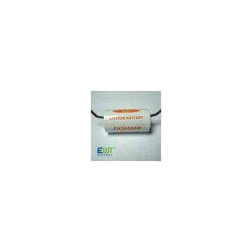 Lithium Battery photo-3