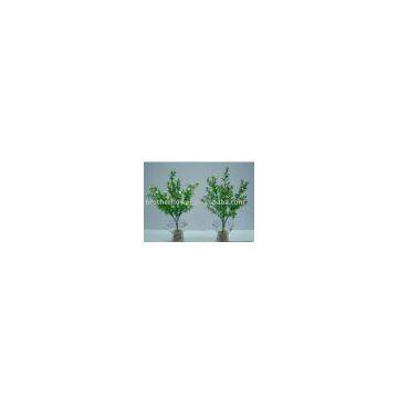 artificial leaves