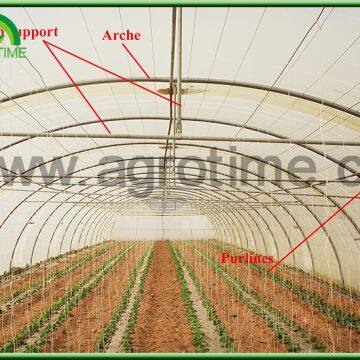 2019 Low Cost Single Tunnel Plastic Film Greenhouse With Hydroponic System for Vegetables photo-4