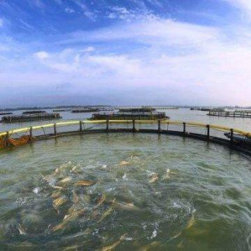 Floating Fish Cages Farming Square And Circle Salmon Cages