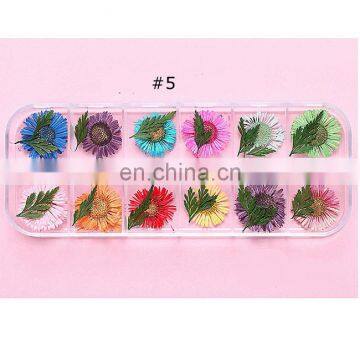 Factory wholesale dried flowers nail for art sale