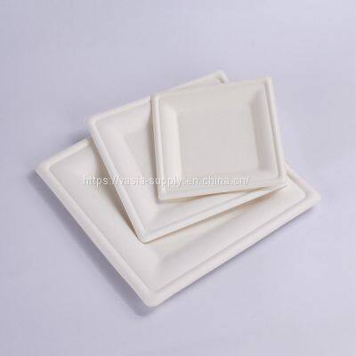 Chinese supplier eco products Sugarcane Pulp Round Rectangular compostable Plates 6 inch