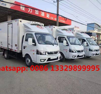 Customized Dongfeng Tuyi 4*2 LHD Petrol Engine Mini Refrigerated Van Truck for Sale 0.5T-1T photo-4