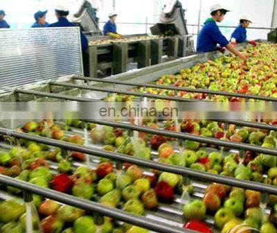 Factory Small Scale Fruit Juice Extraction Extractor Making Machine Juicing Equipment/production Line/filling Packing Machine photo-2
