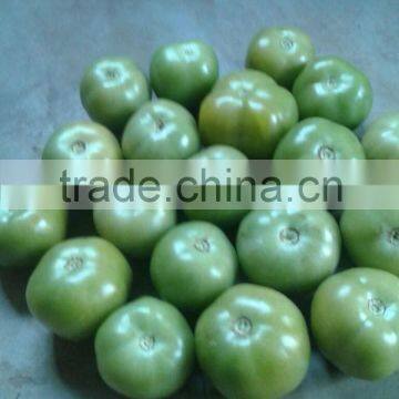 Green Tomato in Drum