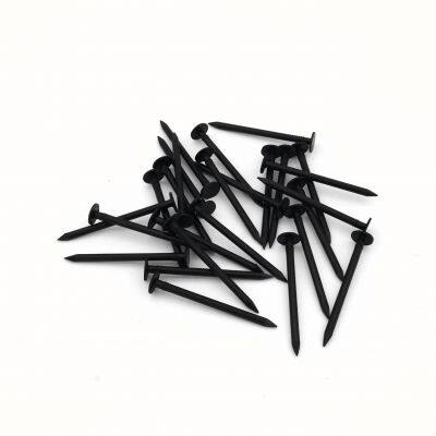 Straight Shank Black Nails Factory Direct Supply With Stable Lead Time photo-5