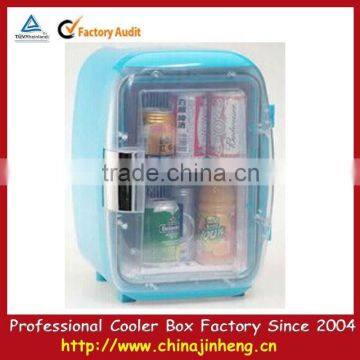 Mini car cooler box