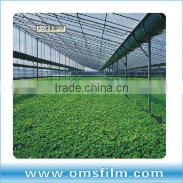 Three-layer co-extruction greenhouse film for vegetable plantation