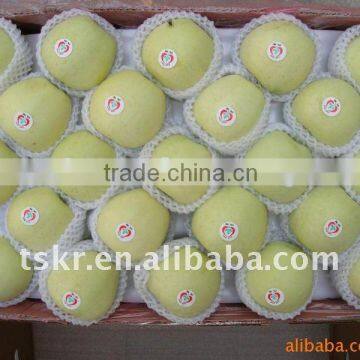 Hot sale Golden delicious apples/juicy sweet yellow apple in 2011