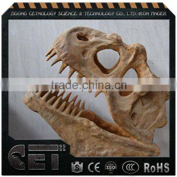 dinosaur skull dinosaur skeleton model Amusement Park Products