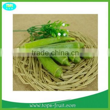 Fresh bulk okra vegetable with ISO9001