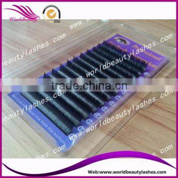 indivudal lashes best quality ellipse flat eyelash extensions cashmere volume eyelash for sale