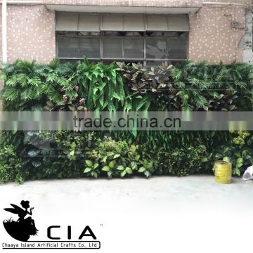 Artificial Ornamental plant wall , Interior Home Decoration Green Wall