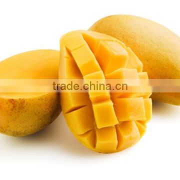 Fresh Mango - Nam Dok Mai