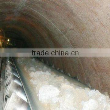 Nylon(nn125) China Manufacture Export Conveyor Belting photo-5
