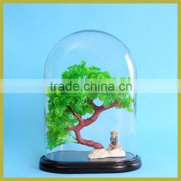 clear glass cloche bell jar in oval