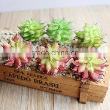 Factory Sale Plastic Succulent Plants Succulent Artificial Mini Succulent Plants