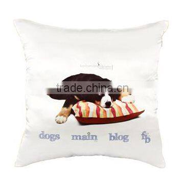 Home Decorative Sofa Seat Cushion, Furit Pillow