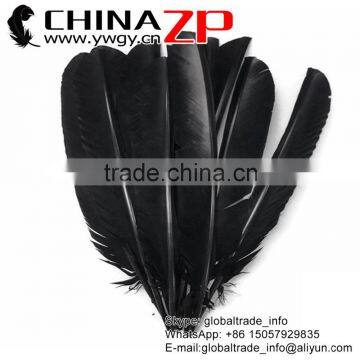 CHINAZP Cheapest Plumage Natural Dyed Black Turkey Pointers Quill Large Feathers Pens for Sale