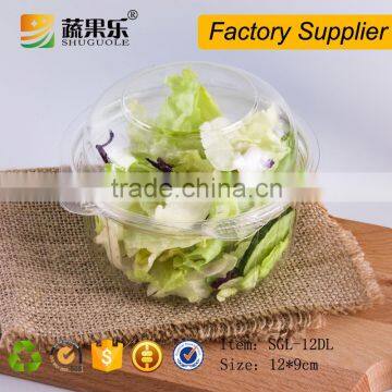 Disposable ppplastic salad container with lid