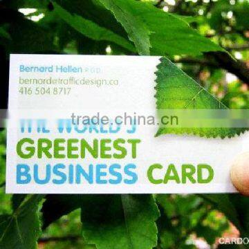 Hot Sell Environmental custom business card printing/greenest business cards