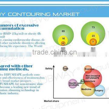 Best Mini Ultrasound Machine Face Lifting Portable HIFU Back Tightening photo-4