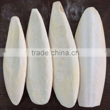 hai piao xiao cuttlebone dried cuttlefish bone