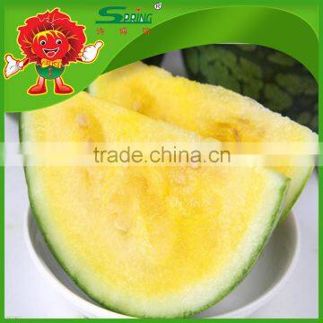 Wholesale Red Yellow Watermelon Farm Growing Watermelon Fake Watermelon photo-5