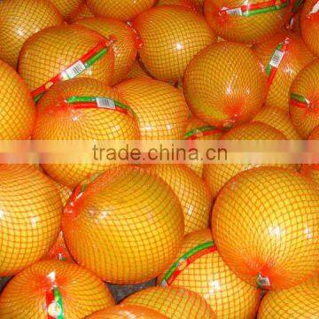 Fresh Sweet Pomelos photo-5