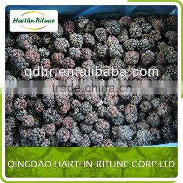 New Crop IQF Frozen Blackberry