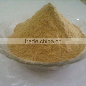 QUALITY SUPPLIER DRY WHITE GARLIC POWDER