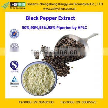 GMP Manufacturer Supply Natural Black Pepper Extract Powder