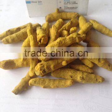 Turmeric Fingers photo-2